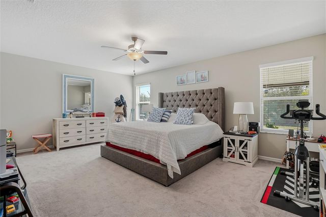 5431 AMARYLLIS GARDEN STREET, Ruskin, FL 33570