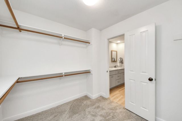 66 Scarlet Woods Court, The Woodlands, TX 77380