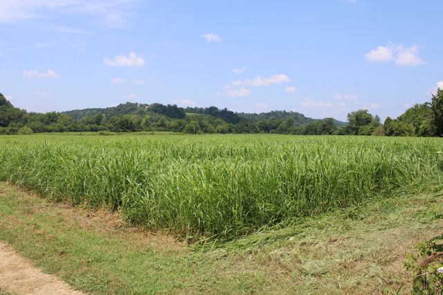 0 Shoal Creek Rd, Minor Hill, TN 38473