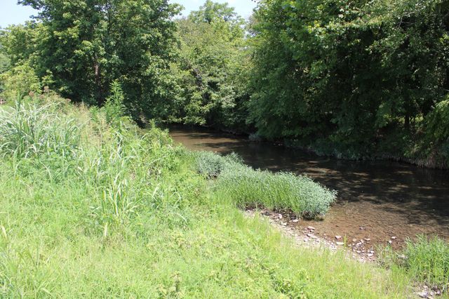 0 Shoal Creek Rd, Minor Hill, TN 38473