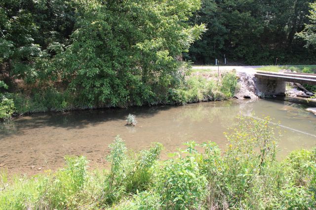 0 Shoal Creek Rd, Minor Hill, TN 38473