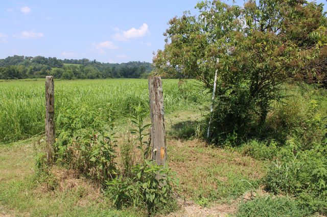0 Shoal Creek Rd, Minor Hill, TN 38473
