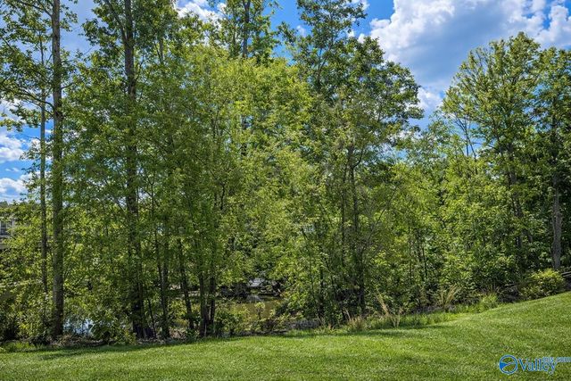 2133 Sevenbark Branch, Huntsville, AL 35802