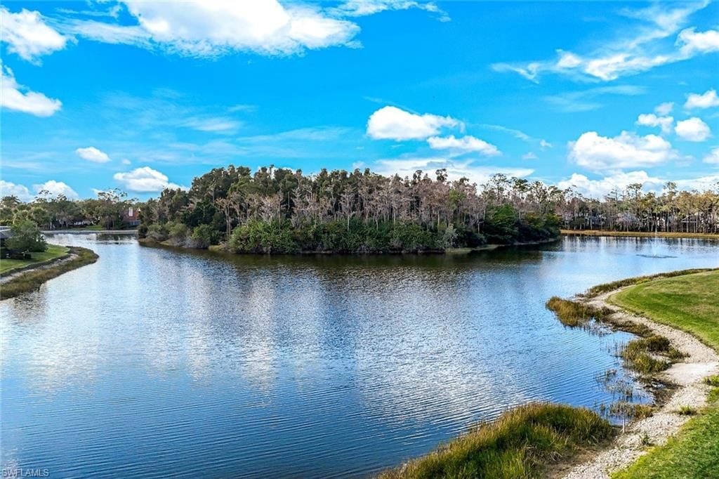 20667 Wildcat Run DR 101, ESTERO, FL 33928 — photo 4