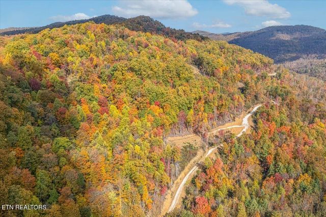 00 Buffalo Rd, Oneida, TN 37841