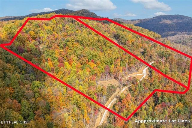 00 Buffalo Rd, Oneida, TN 37841