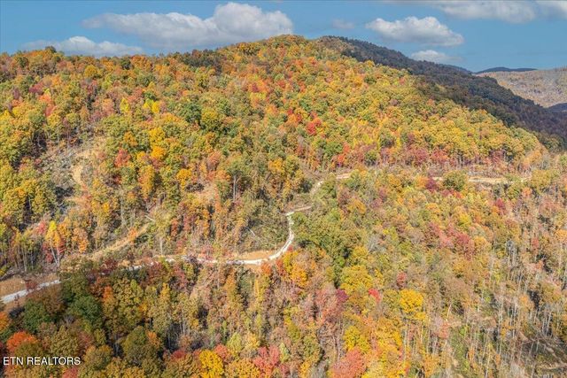 00 Buffalo Rd, Oneida, TN 37841