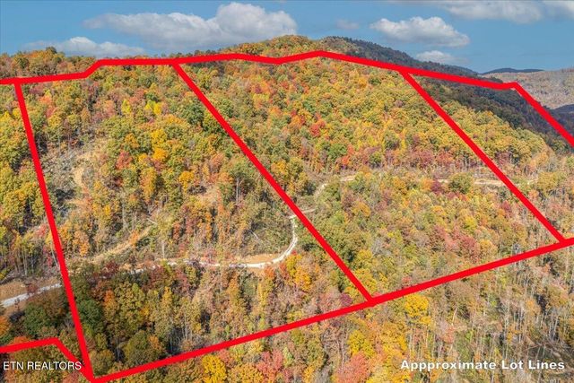 00 Buffalo Rd, Oneida, TN 37841