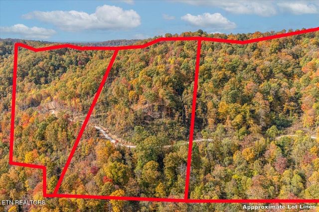 00 Buffalo Rd, Oneida, TN 37841