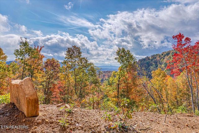 00 Buffalo Rd, Oneida, TN 37841