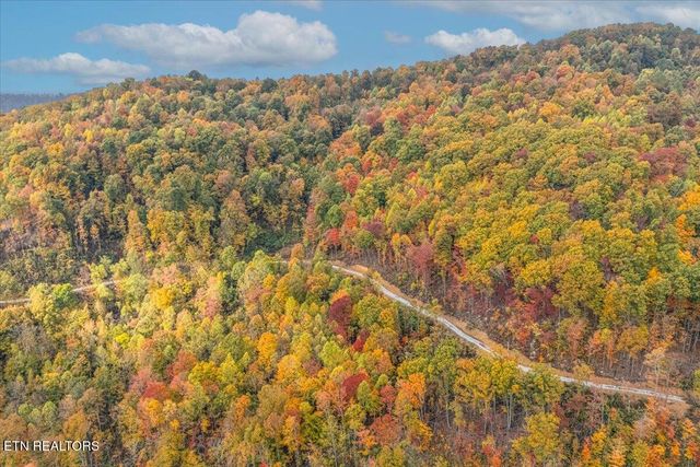 00 Buffalo Rd, Oneida, TN 37841