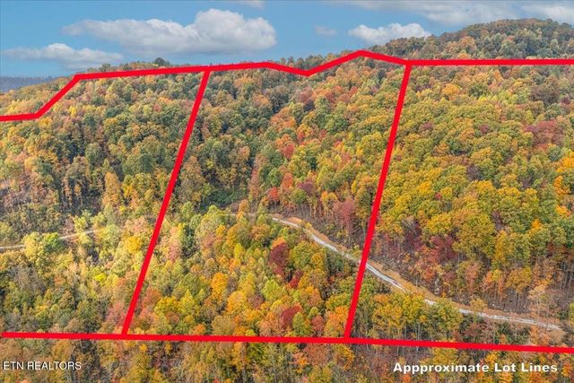 00 Buffalo Rd, Oneida, TN 37841