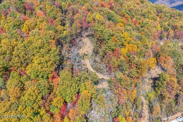 00 Buffalo Rd, Oneida, TN 37841