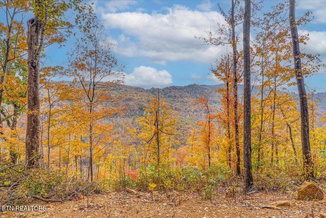 00 Buffalo Rd, Oneida, TN 37841