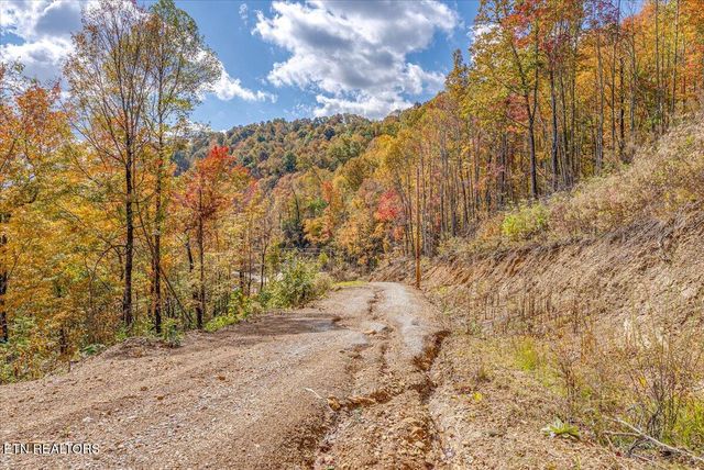 00 Buffalo Rd, Oneida, TN 37841