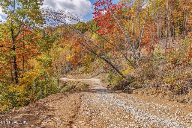 00 Buffalo Rd, Oneida, TN 37841