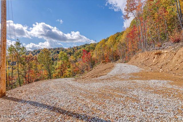 00 Buffalo Rd, Oneida, TN 37841