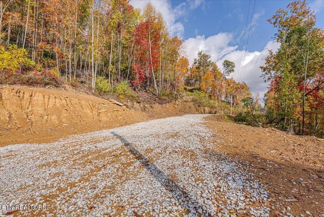 00 Buffalo Rd, Oneida, TN 37841