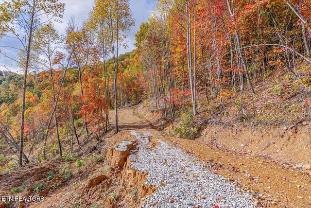 00 Buffalo Rd, Oneida, TN 37841