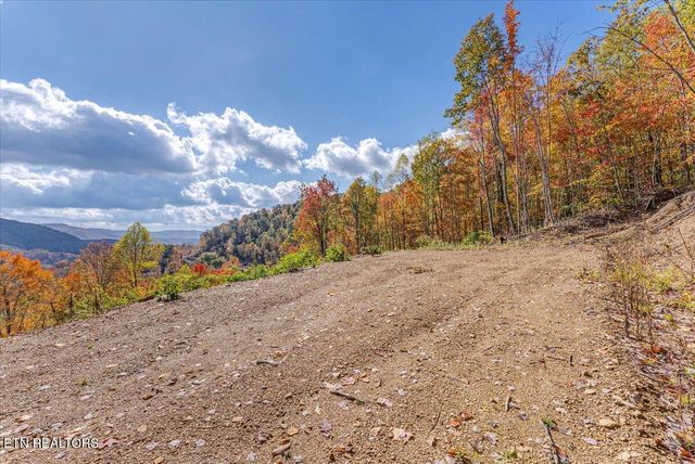 00 Buffalo Rd, Oneida, TN 37841