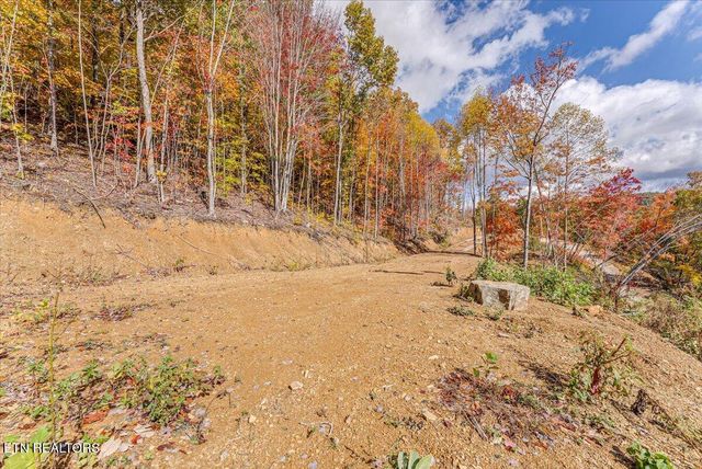 00 Buffalo Rd, Oneida, TN 37841