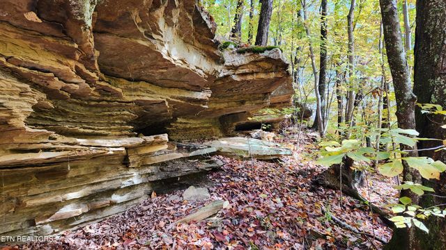 00 Buffalo Rd, Oneida, TN 37841