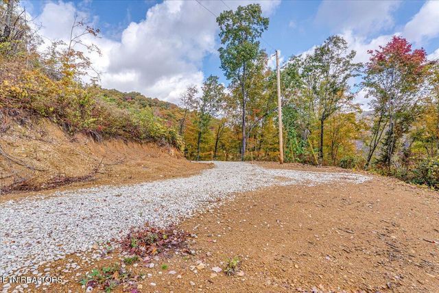 00 Buffalo Rd, Oneida, TN 37841