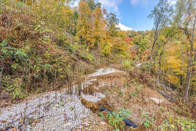 00 Buffalo Rd, Oneida, TN 37841