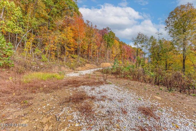 00 Buffalo Rd, Oneida, TN 37841