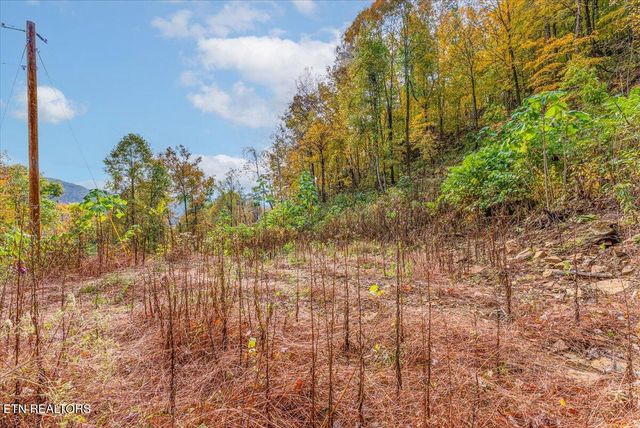 00 Buffalo Rd, Oneida, TN 37841