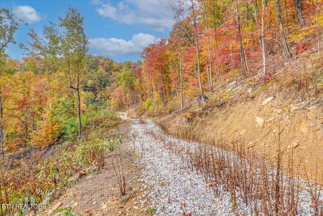 00 Buffalo Rd, Oneida, TN 37841