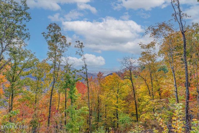 00 Buffalo Rd, Oneida, TN 37841