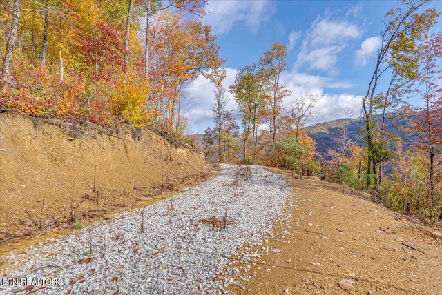 00 Buffalo Rd, Oneida, TN 37841