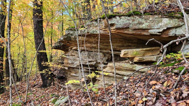 00 Buffalo Rd, Oneida, TN 37841