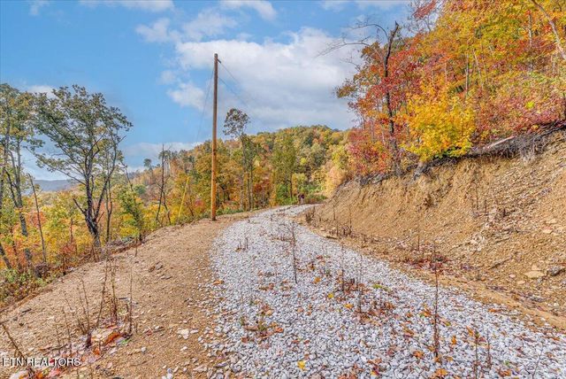 00 Buffalo Rd, Oneida, TN 37841