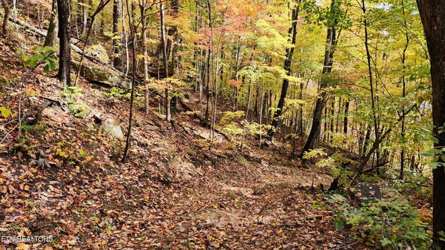 00 Buffalo Rd, Oneida, TN 37841