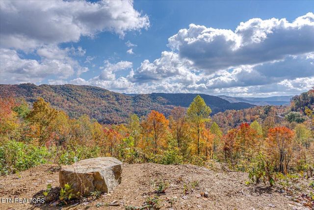 00 Buffalo Rd, Oneida, TN 37841