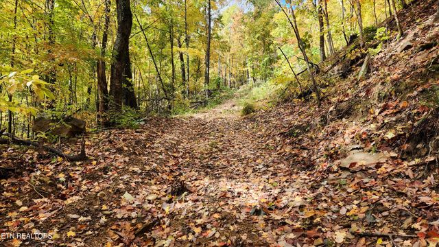 00 Buffalo Rd, Oneida, TN 37841