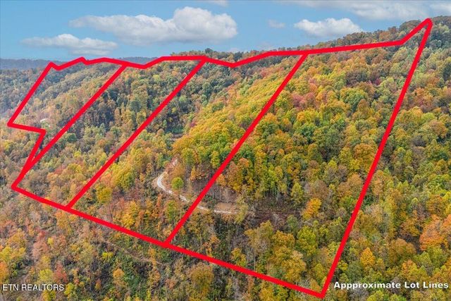 00 Buffalo Rd, Oneida, TN 37841