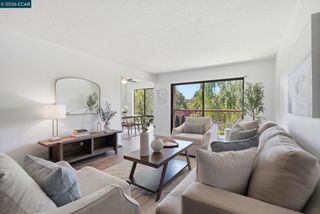 460 N Civic Dr 310, Walnut Creek, CA 94596