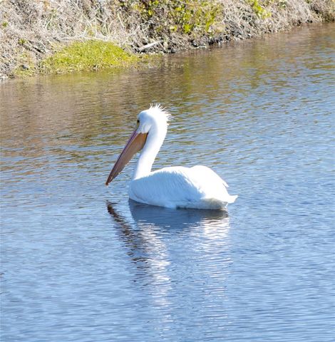 863 AUDUBON DRIVE 863, Bradenton, FL 34209