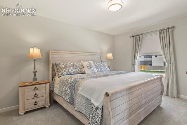 17687 Lemon Rye Loop, Monument, CO 80132