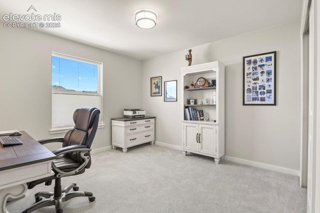 17687 Lemon Rye Loop, Monument, CO 80132