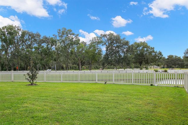 16044 SONOMA GROVE CIRCLE, Tampa, FL 33647