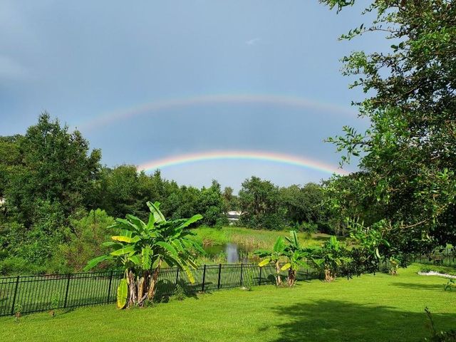 30339 PLYMOUTH CREEK CIRCLE, Sorrento, FL 32776