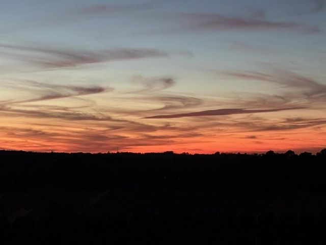 8435 Lakeway Dr., Tyler, TX 75703