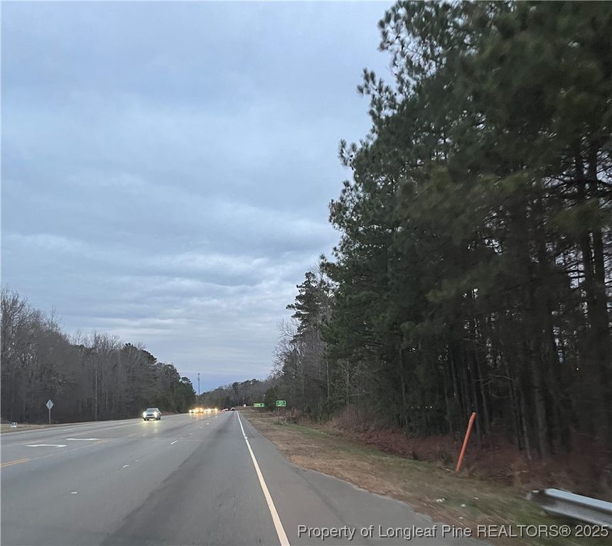TBD Hwy 87/ Broadway Rd. Road, Sanford, NC 27330 — exterior