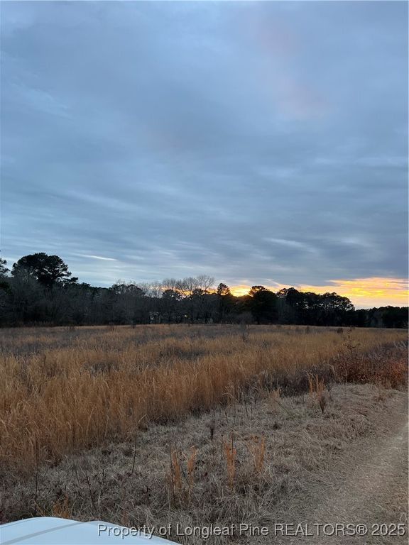 TBD Hwy 87/ Broadway Rd. Road, Sanford, NC 27330 — photo 2