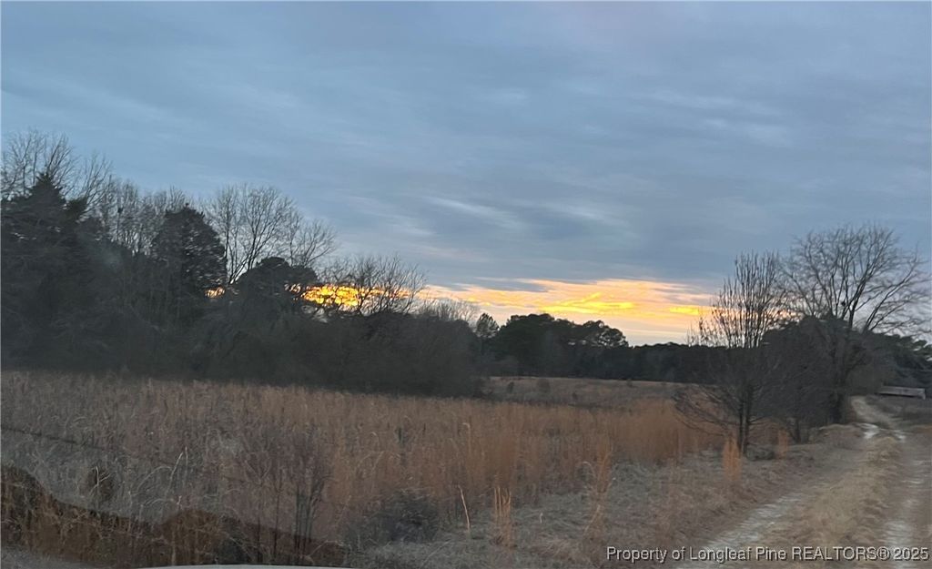 TBD Hwy 87/ Broadway Rd. Road, Sanford, NC 27330 — photo 3