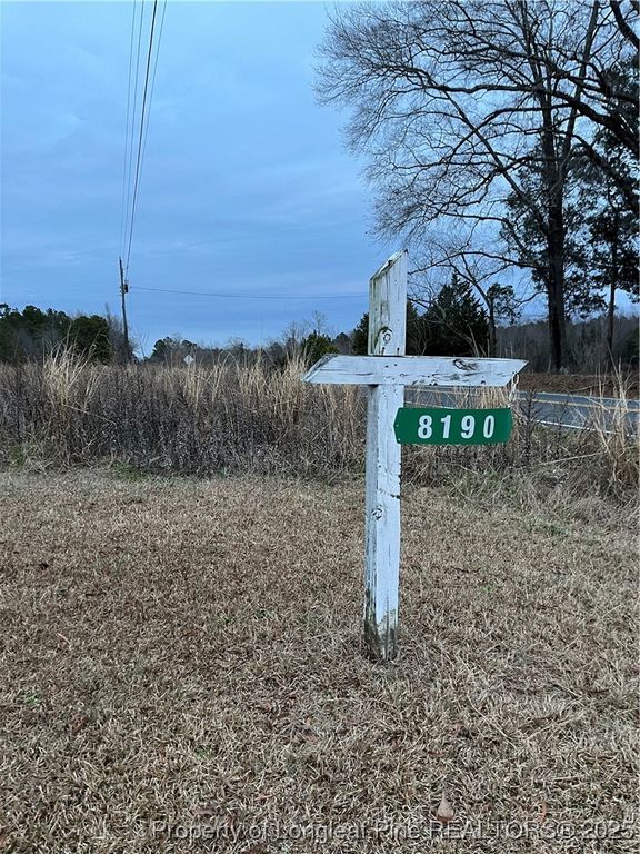 TBD Hwy 87/ Broadway Rd. Road, Sanford, NC 27330 — photo 5